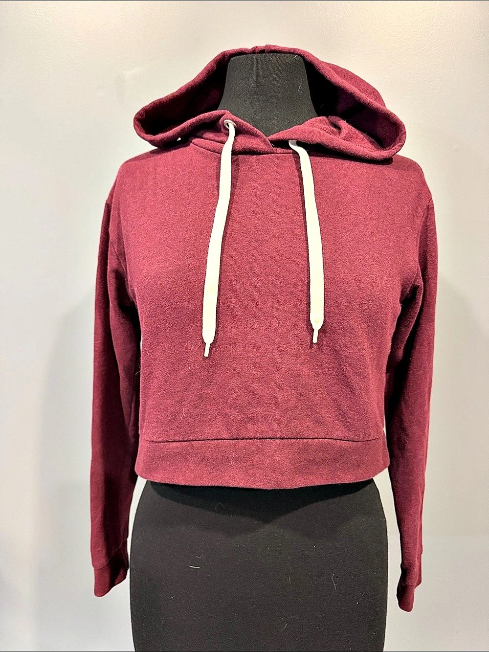 Cropped Hoodie in Purple Size XS Like New